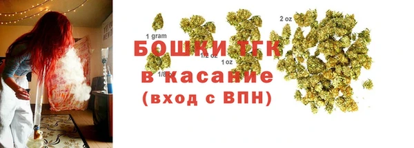 ешки Горняк