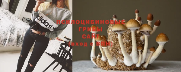 ешки Горняк