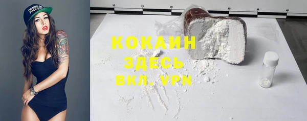 ешки Горняк