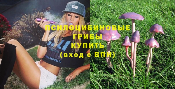 бошки Горнозаводск