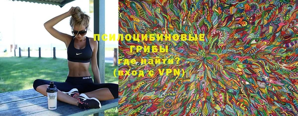 ешки Горняк
