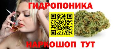 гашик Волжск