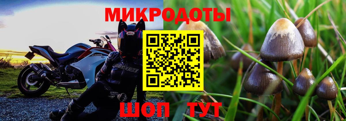 Псилоцибиновые грибы мухоморы Магнитогорск